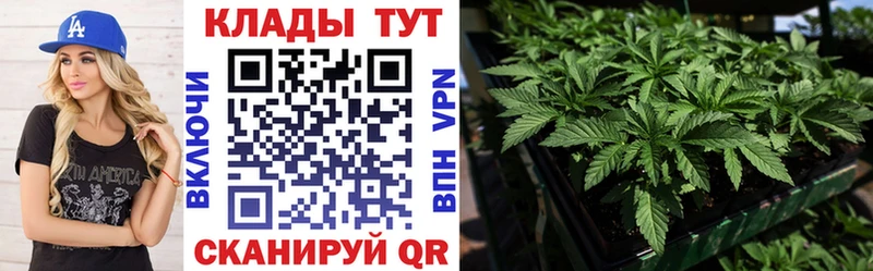 Наркошоп купить ГАШИШ  Бошки Шишки  АМФЕТАМИН  Метамфетамин  COCAIN  СК  Меф  Тайга