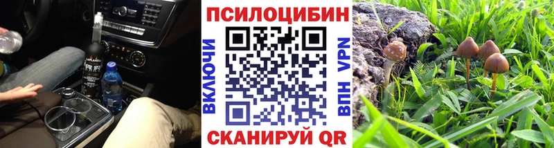Купить  Тайга  Псилоцибиновые грибы MAGIC MUSHROOMS 